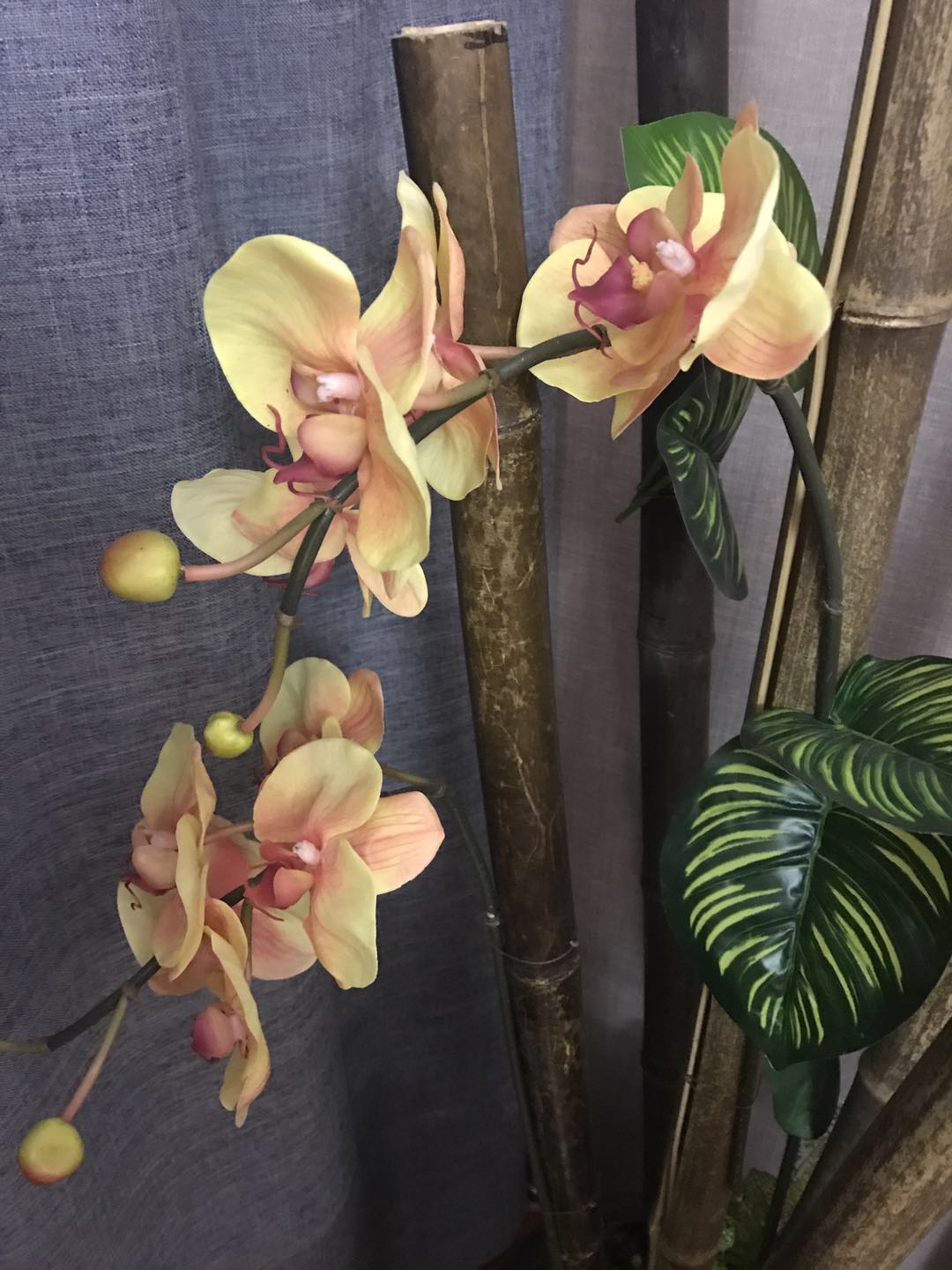 金水湾沐足养生会馆，尊享健康热线，品质生活新体验